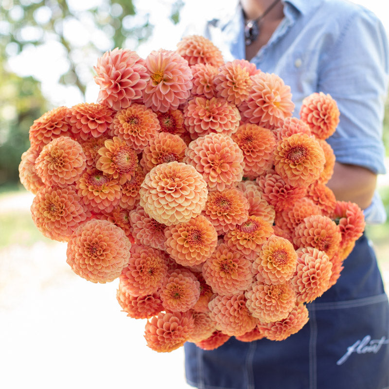 【未使用】ウォーターフォード☆リズモア ダイヤモンド　花瓶 Dahlia Crazy 4 Vinnie – Floret Library