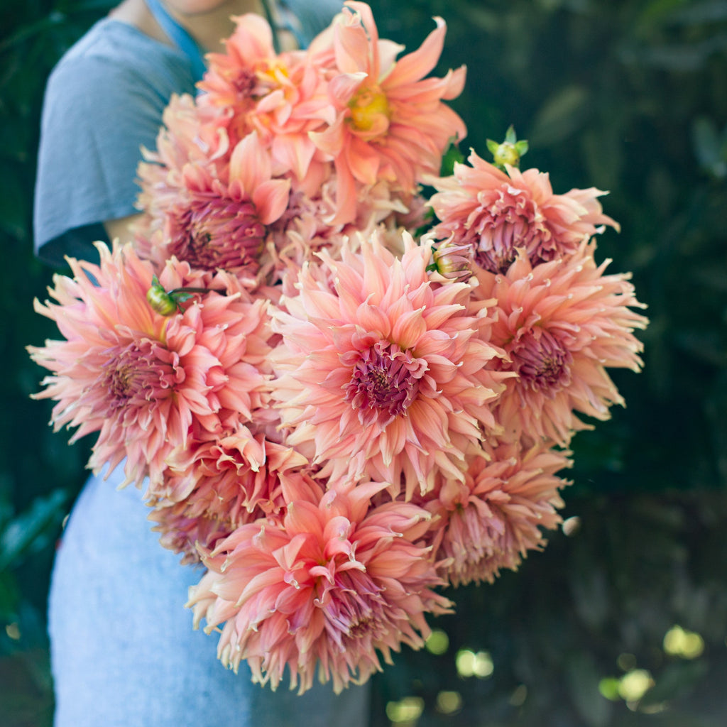 【新品】【定価12800円】AQSS Futures フラワーTRI FIN Dahlia Fairway Spur – Floret Library