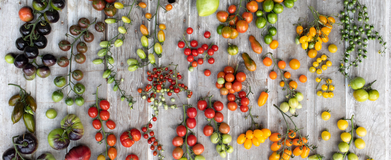 An overhead of Tomatoes and other edibles