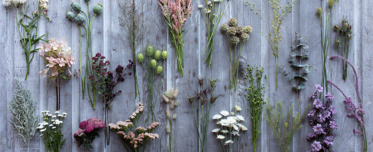 An overhead of dried flowers, seed pods, and grasses