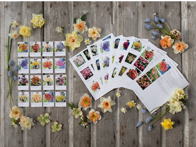 Floret Library - Floret Flowers