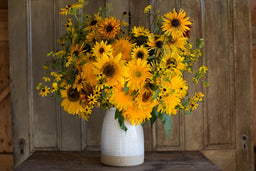Favorite Sunflowers for Cutting