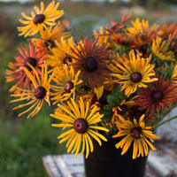 A bouquet of Black Eyed Susan Chim Chiminee