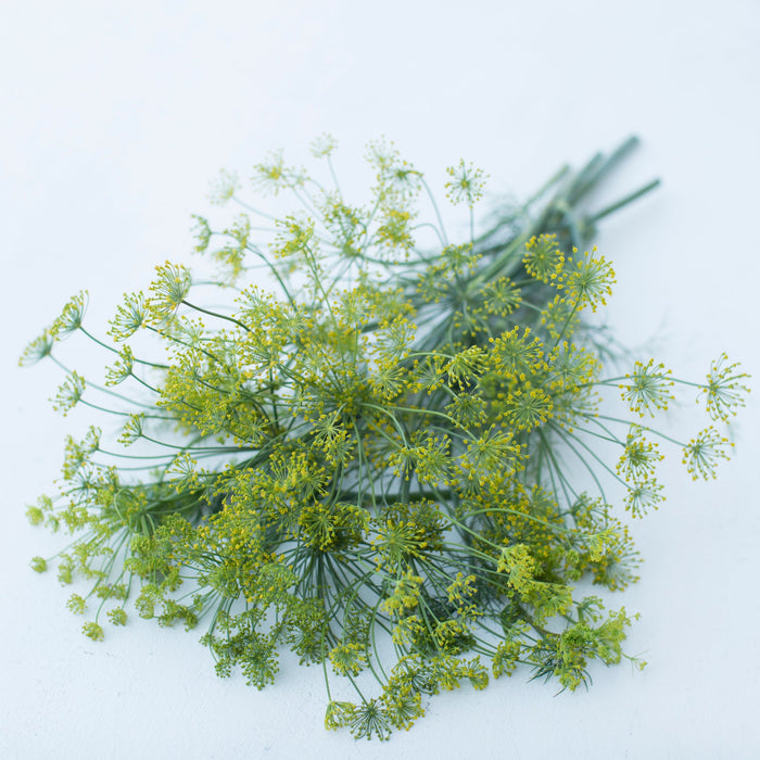 A bunch of Dill Bouquet