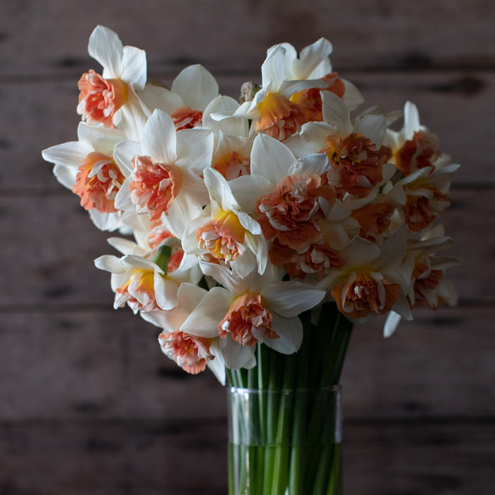 A bouquet of Narcissus Candy Princess