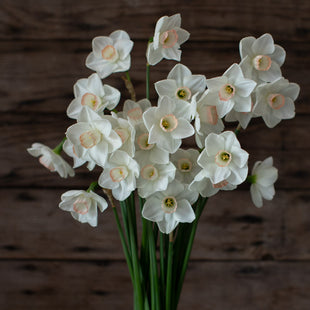 A bunch of Narcissus Lovely Lynden