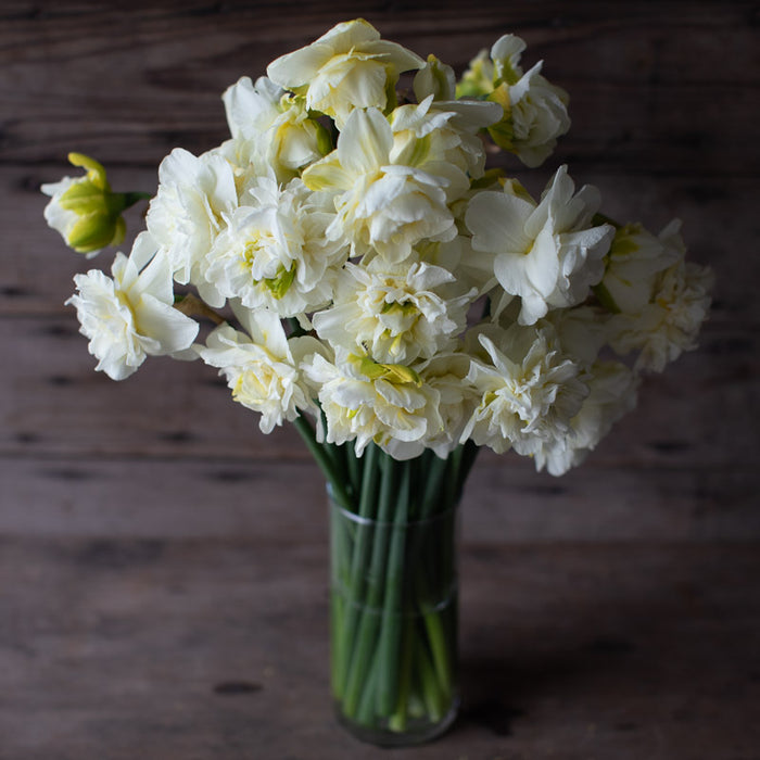 A bouquet of Narcissus Obdam