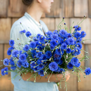 Edible Flowers — Flora & Forge