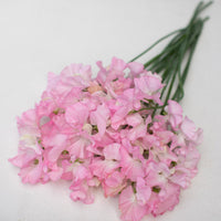 A bunch of Sweet Pea Pearl Pink