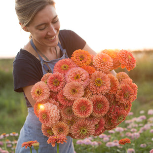 Zinnia Precious Metals – Floret Flower Farm