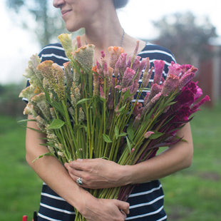 Flower Pruner – Floret Flower Farm