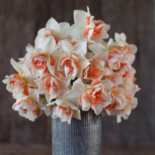 A bouquet of Narcissus Replete