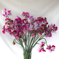 A bouquet of Sweet Pea Promise