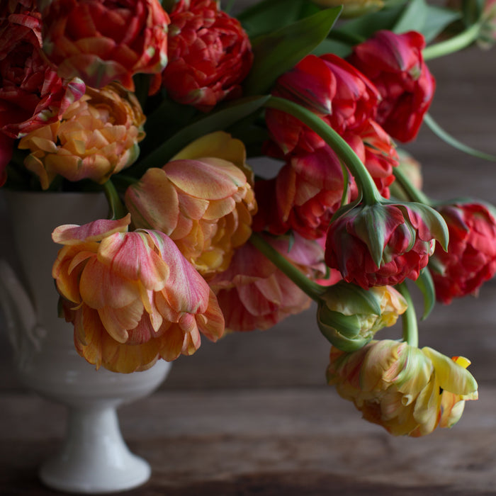 A bouquet of Tulip Gudoshnik Double