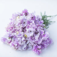 A bunch of Sweet Pea Lavender Flake
