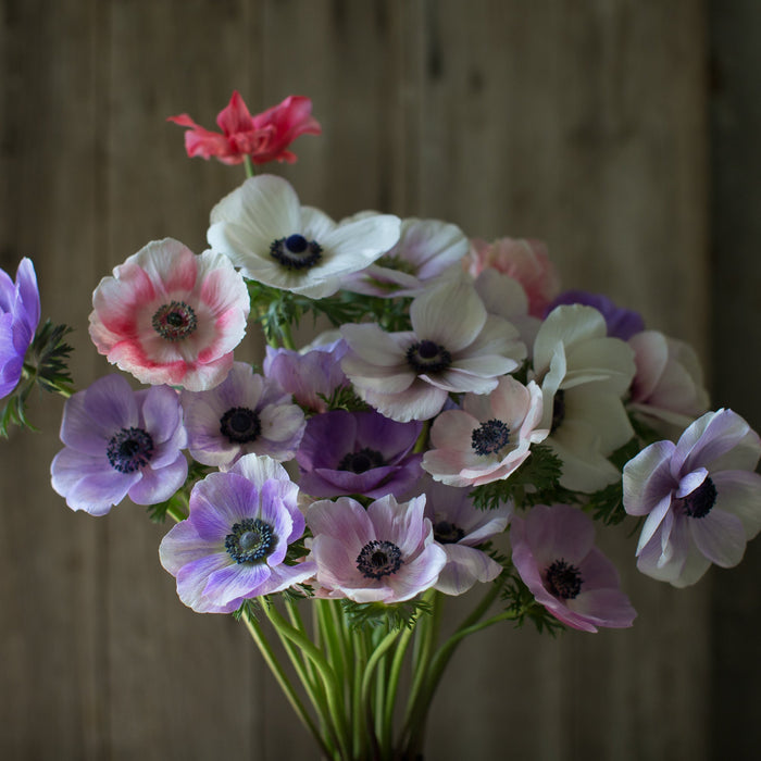 anemone flower bouquet