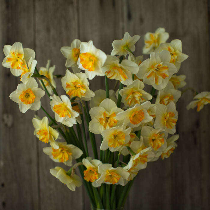 An overhead of Narcissus Sorbet